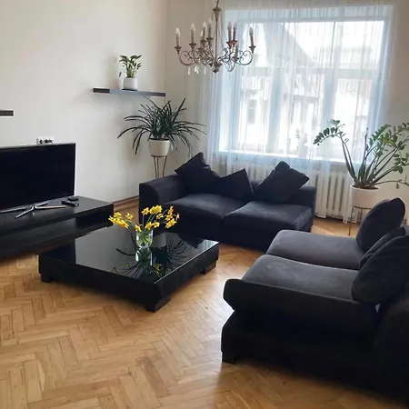 公寓 Elegants Dzivoklis Rigas Centra 里加